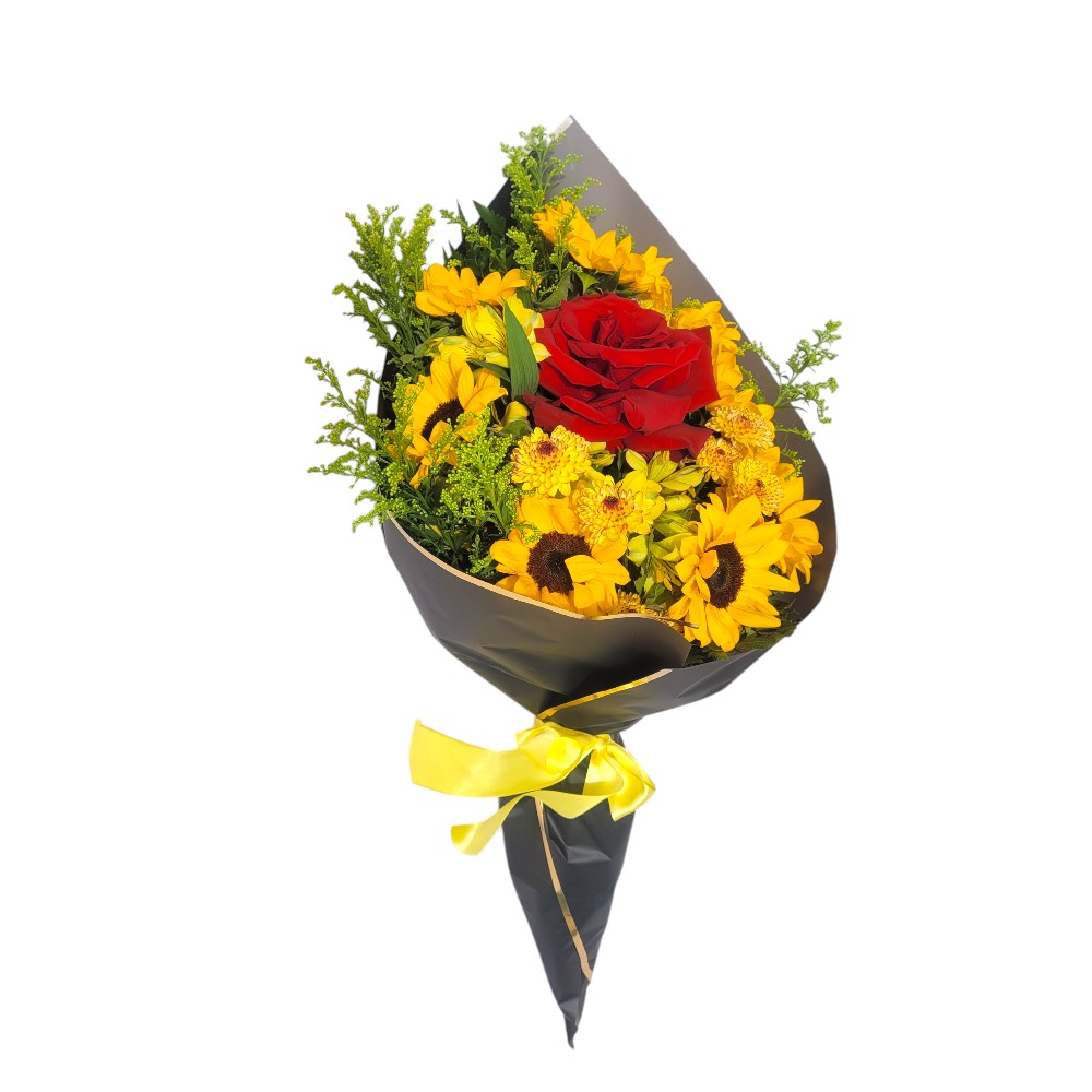 buqu_co_8_griassois_e_01_rosa_vemelha_em_braslia_1_20260718133706_f0891b922834 Produto teste 01 - Imagem 1