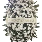 Coroa 017
