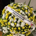 Coroa 0018