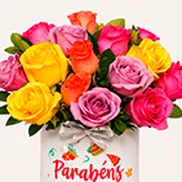 Categoria 5