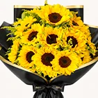 Categoria 2