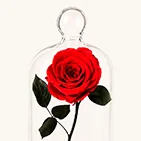 Categoria 1